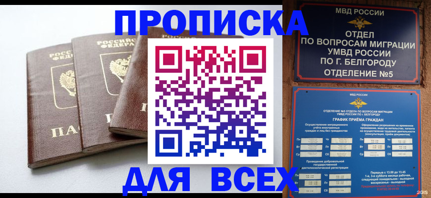 прописка в Шали